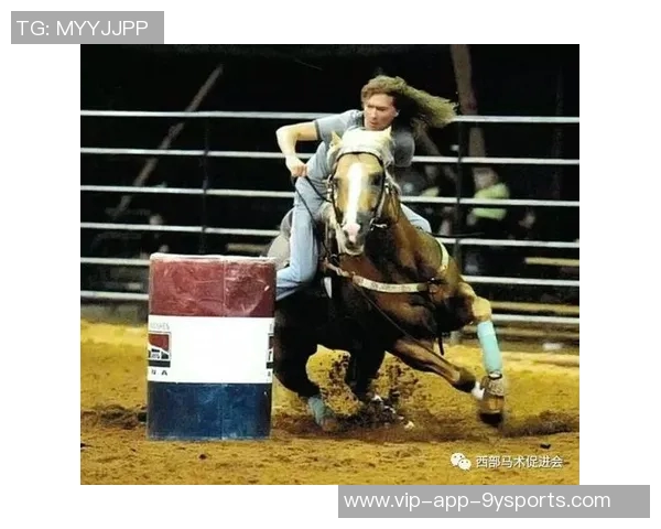 巴西连线即将落幕各方关注终章揭晓的关键时刻